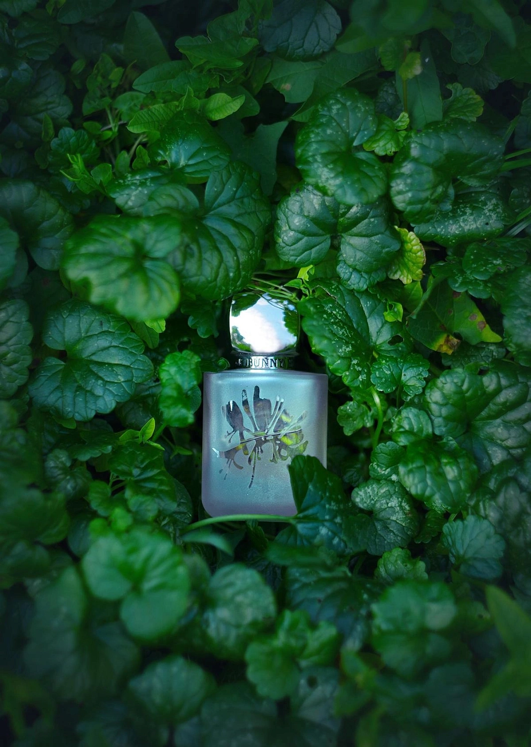 Rouge Bunny Rouge Incantation