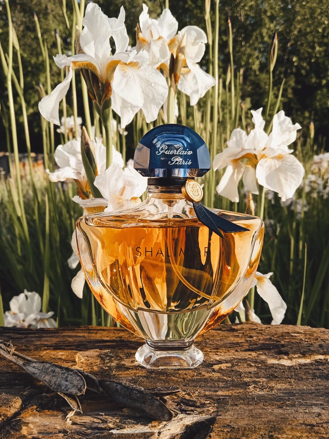 Guerlain Shalimar Eau de Parfum