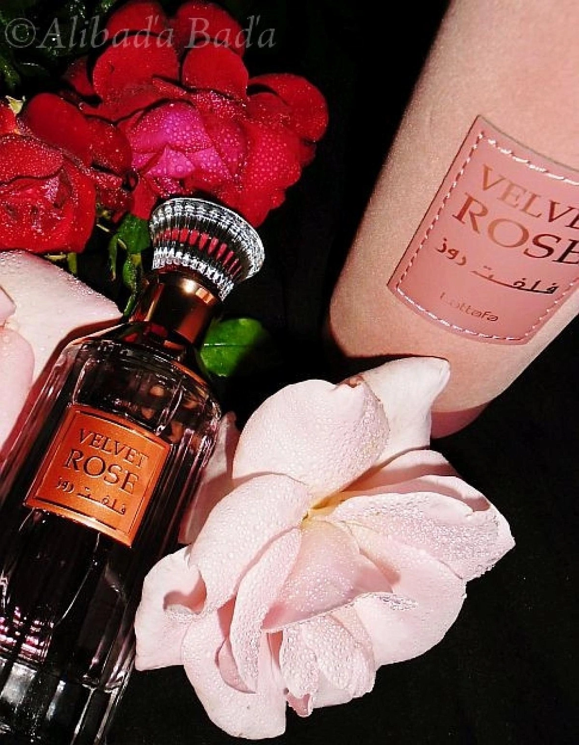 Lattafa Velvet Rose Lattafa Velvet Rose