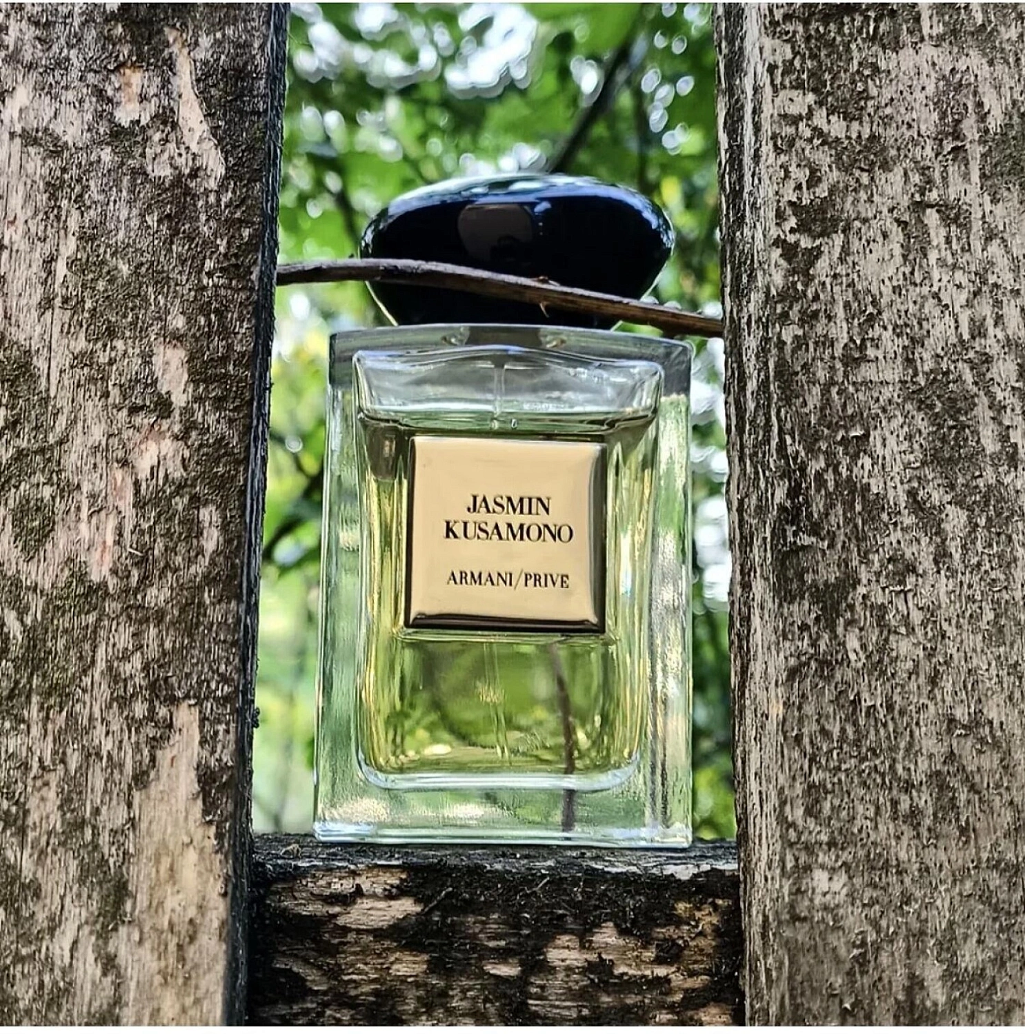 Armani Prive Jasmin Kusamono
