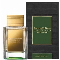 Ermenegildo Zegna Strength
