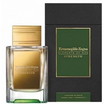 Фото Ermenegildo Zegna Strength
