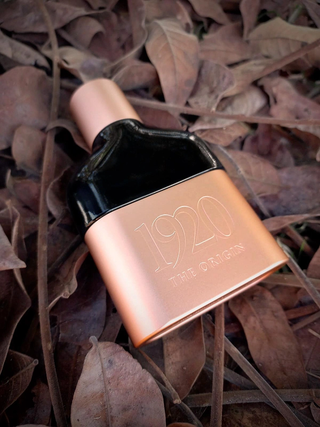 Tous 1920 The Origin