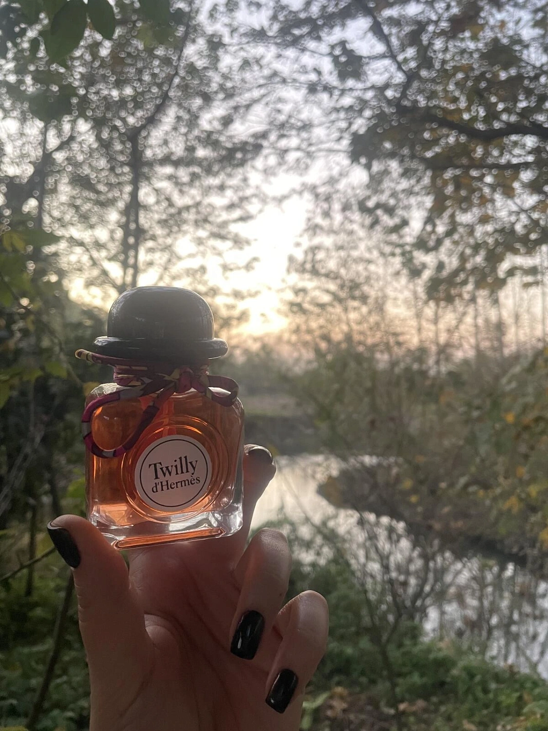 Twilly d’Hermes