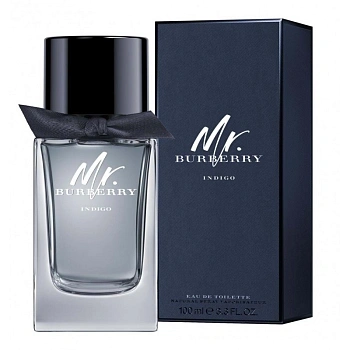 Фото Mr. Burberry Indigo