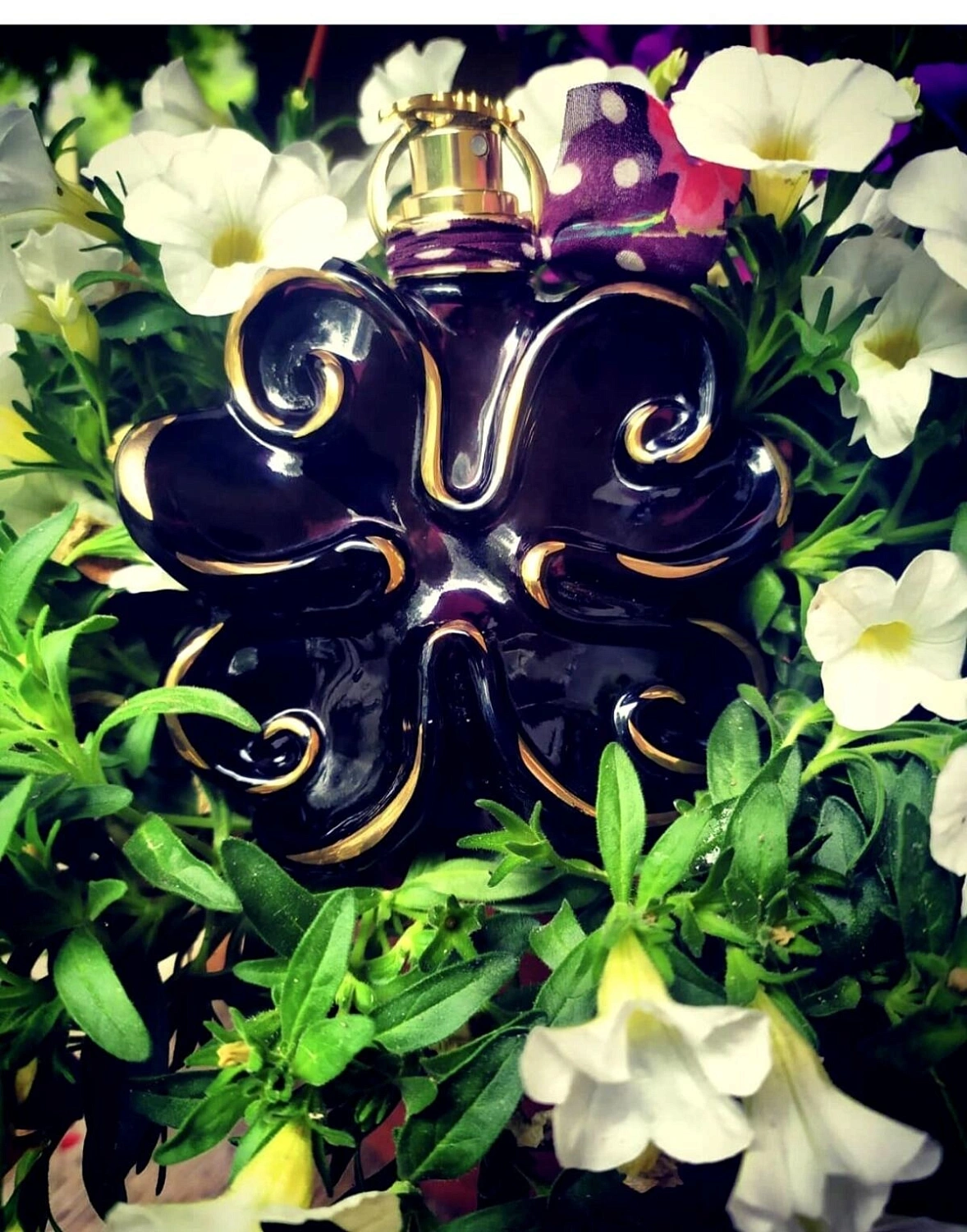 Lolita Lempicka Illusions Noires Si Lolita Eau de Minuit Lolita Lempicka Illusions Noires Si Lolita Eau de Minuit