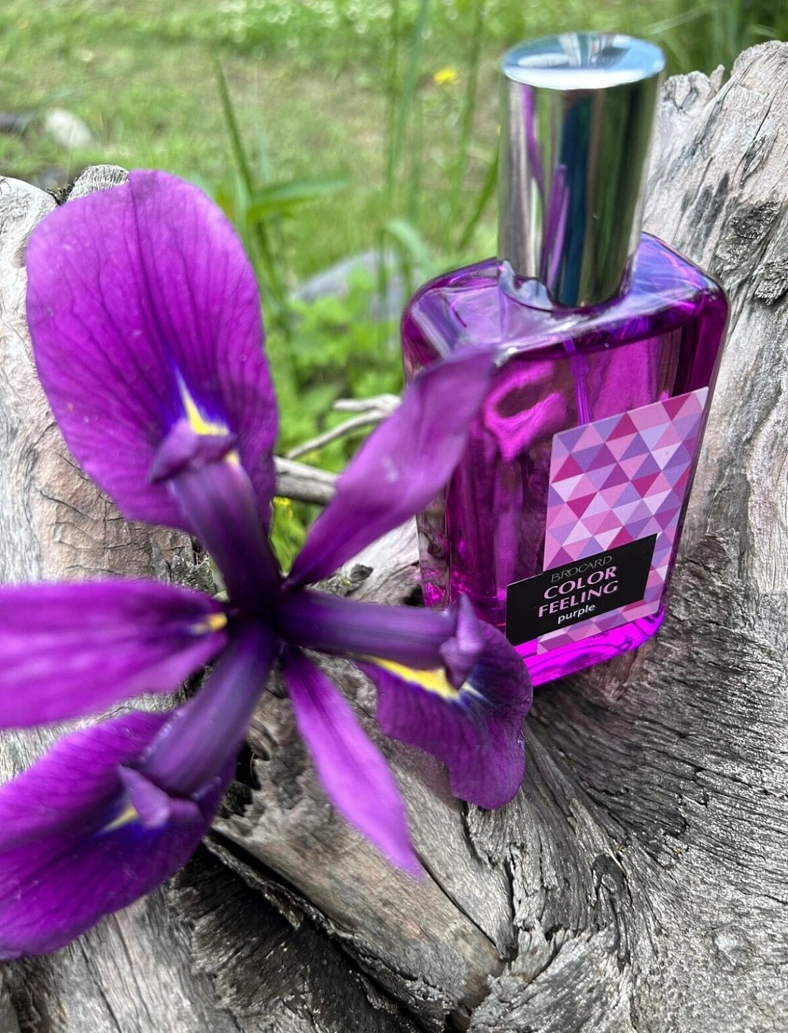 Brocard Color Feeling Purple Brocard Color Feeling Purple