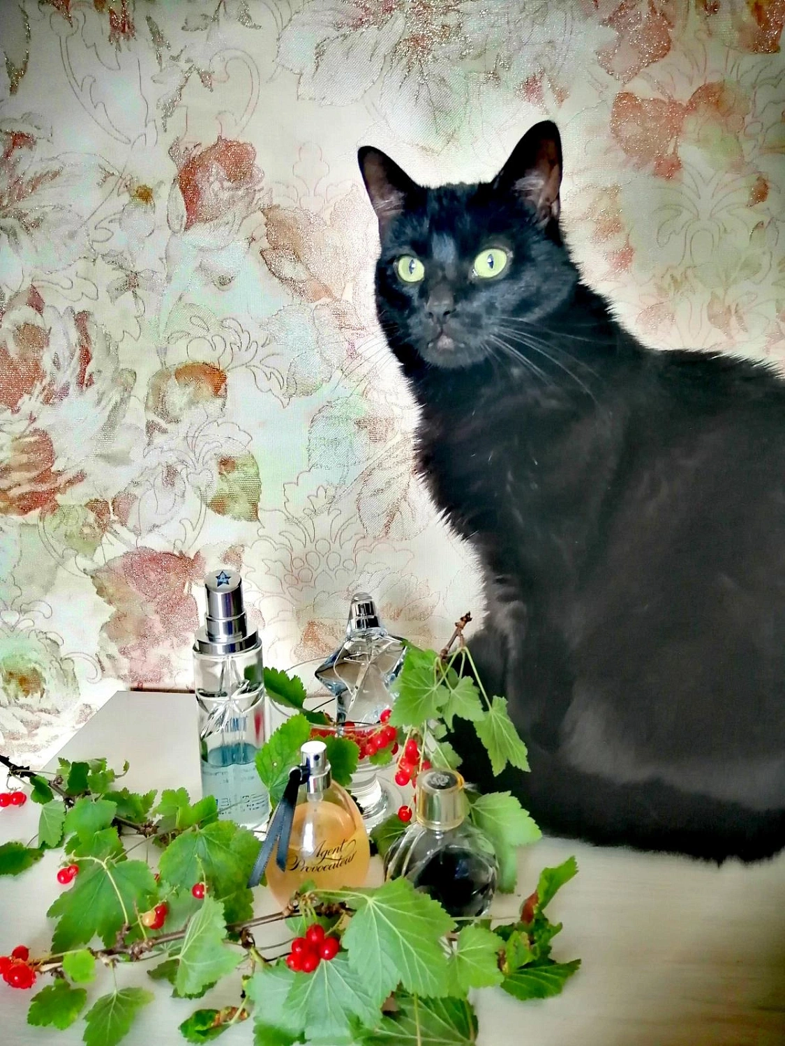 Agent Provocateur Eau Provocateur