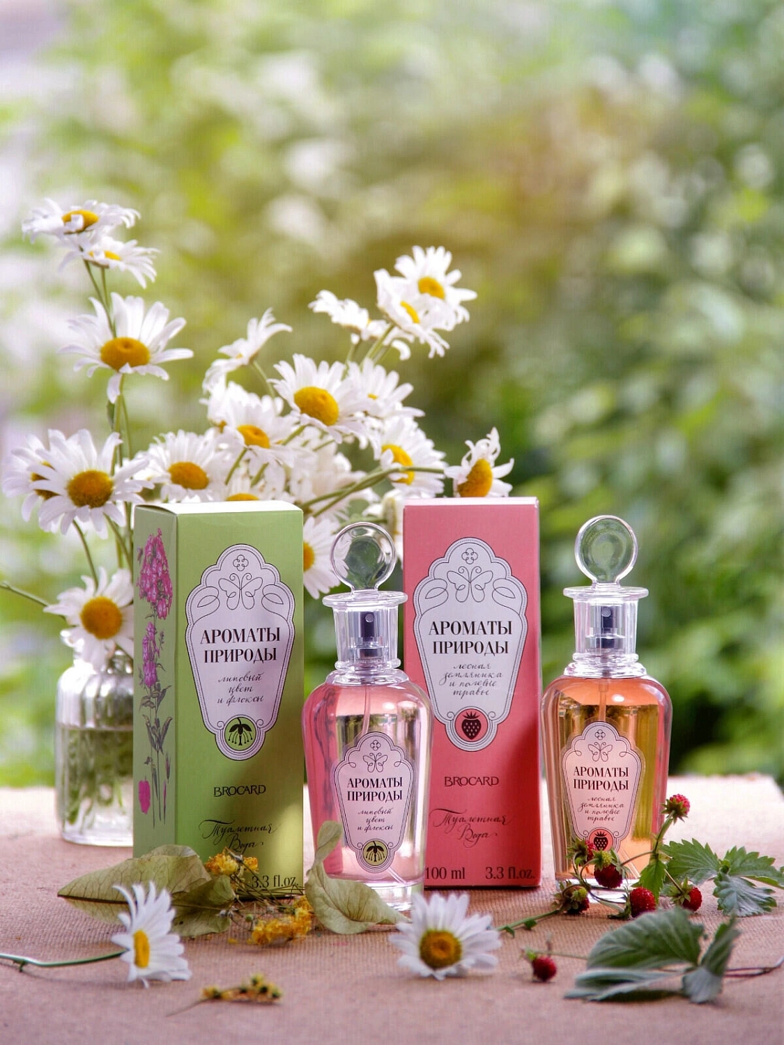 Brocard Липовый Цвет и Флоксы