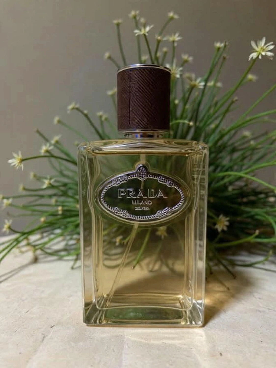 Prada Infusion de Vanille