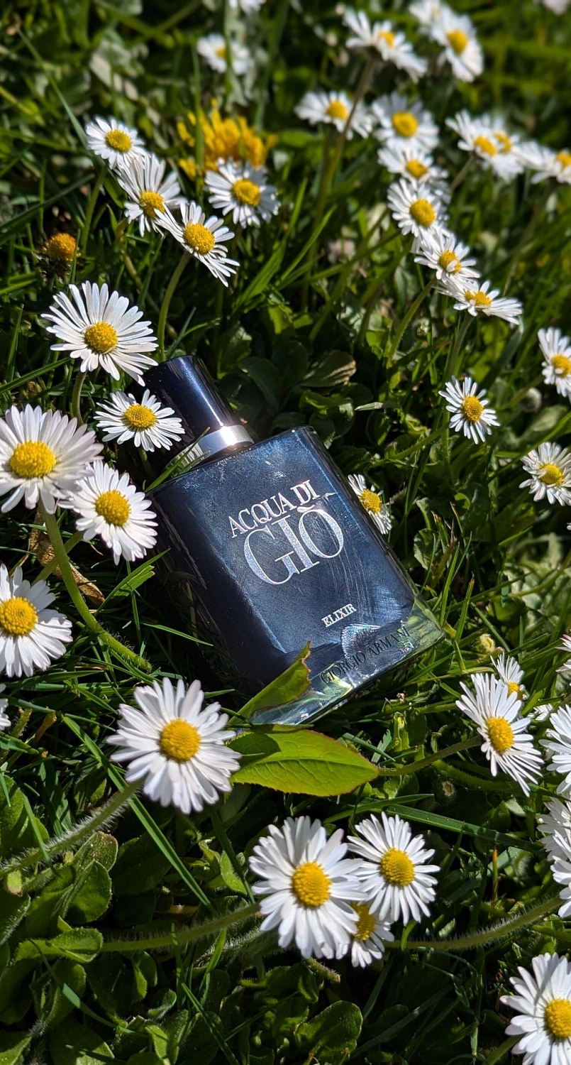 Armani Acqua Di Gio Elixir
