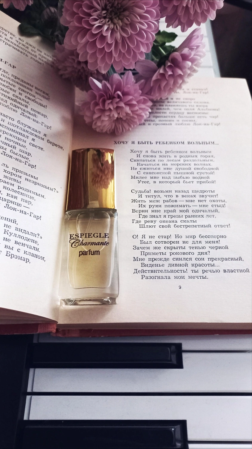 Novaya Zarya (Новая Заря) Шалунья очаровательная (Espiegle Charmante)