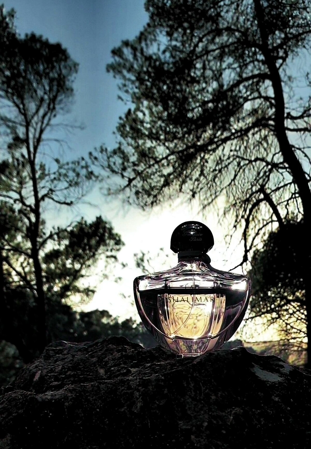 Guerlain Eau de Shalimar