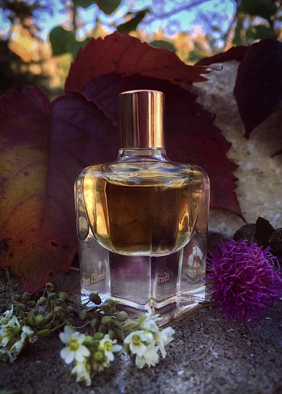 Jour d’Hermes Absolu