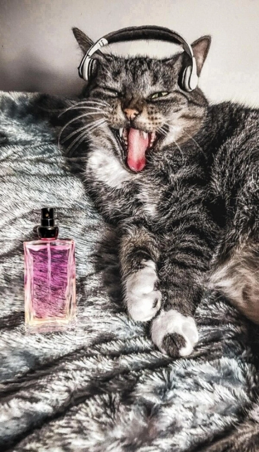 MOSCHINO Pink Fresh Couture