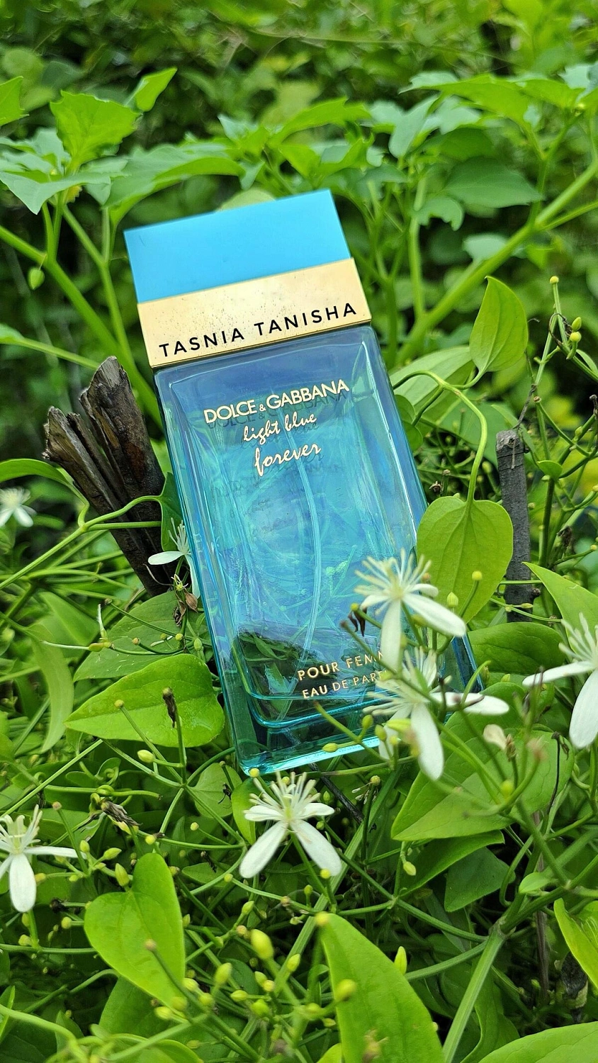 DOLCE & GABBANA Light Blue Forever