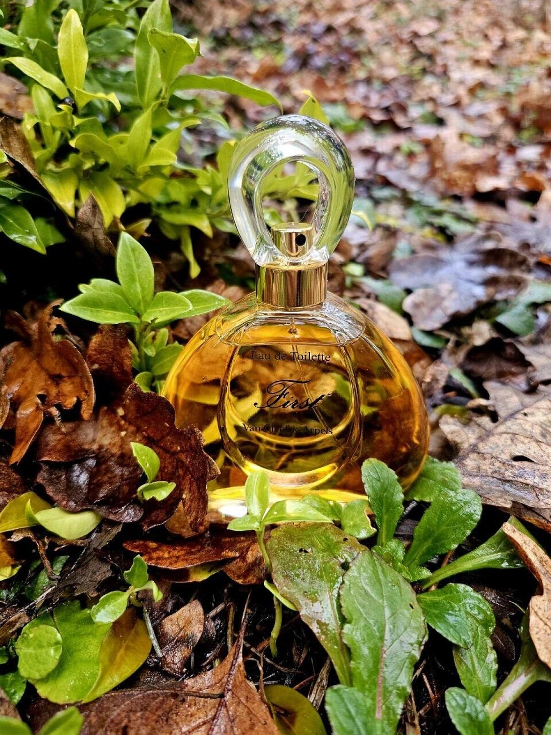 Van Cleef & Arpels First