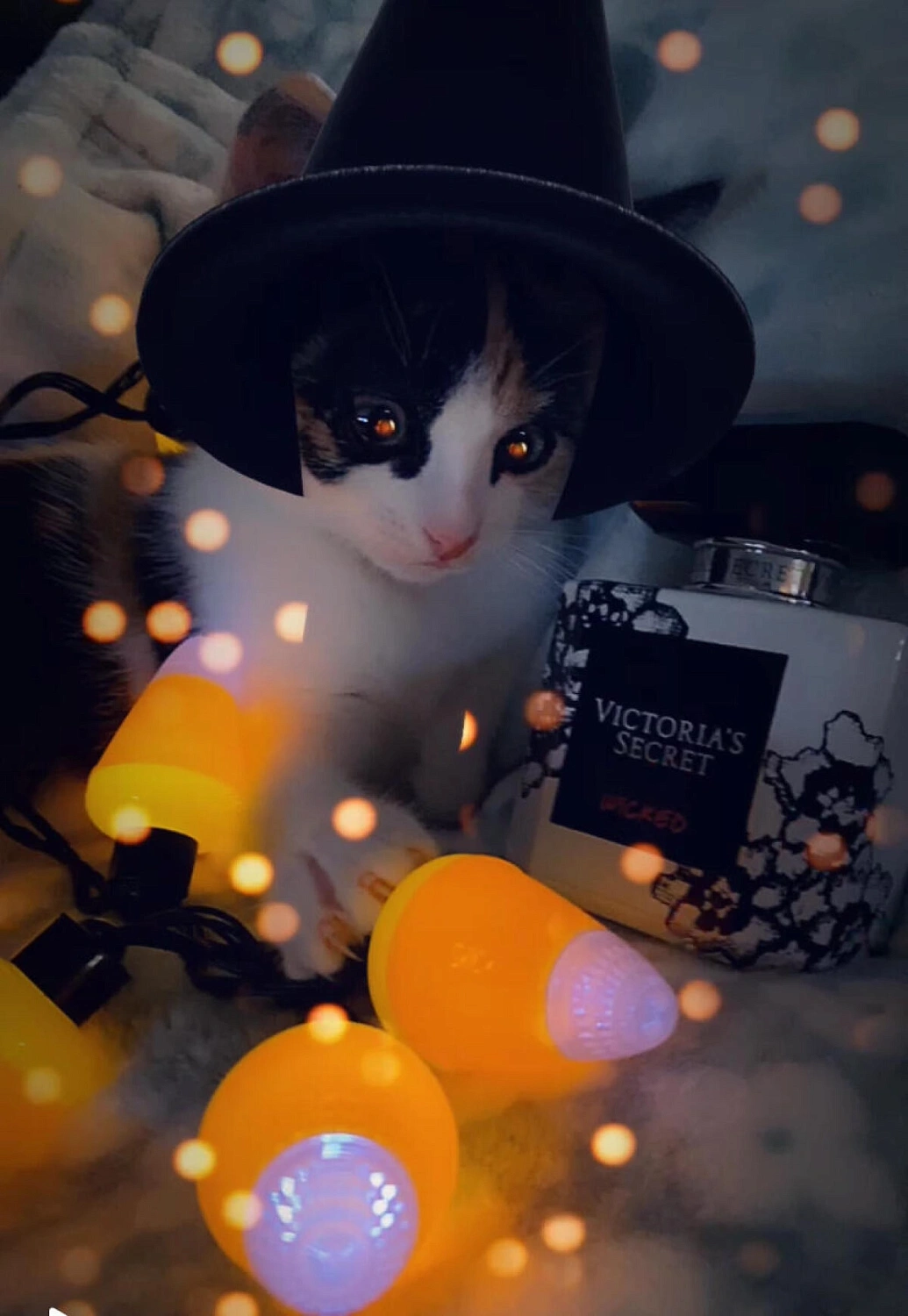 Victoria`s Secret Wicked Eau de Parfum