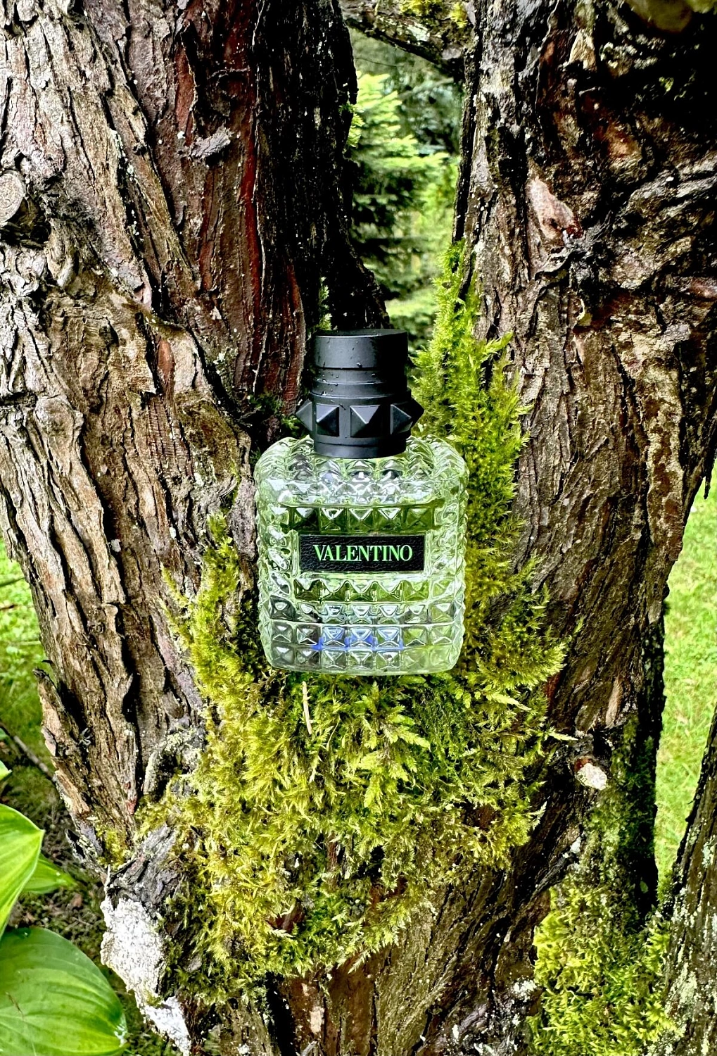 Valentino Donna Born in Roma Green Stravaganza Valentino Donna Born in Roma Green Stravaganza