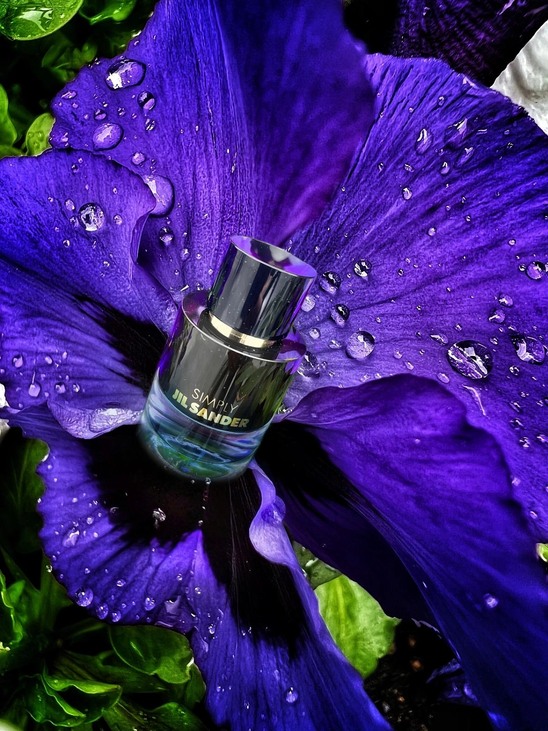 Simply Jil Sander Touch of Violet