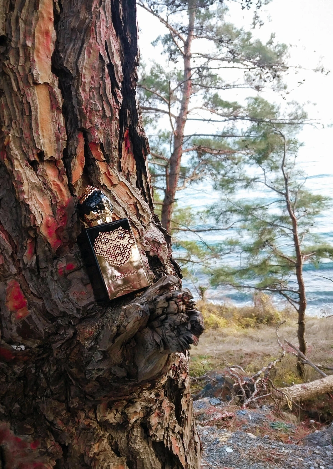 Stephane Humbert Lucas 777 Mortal Skin