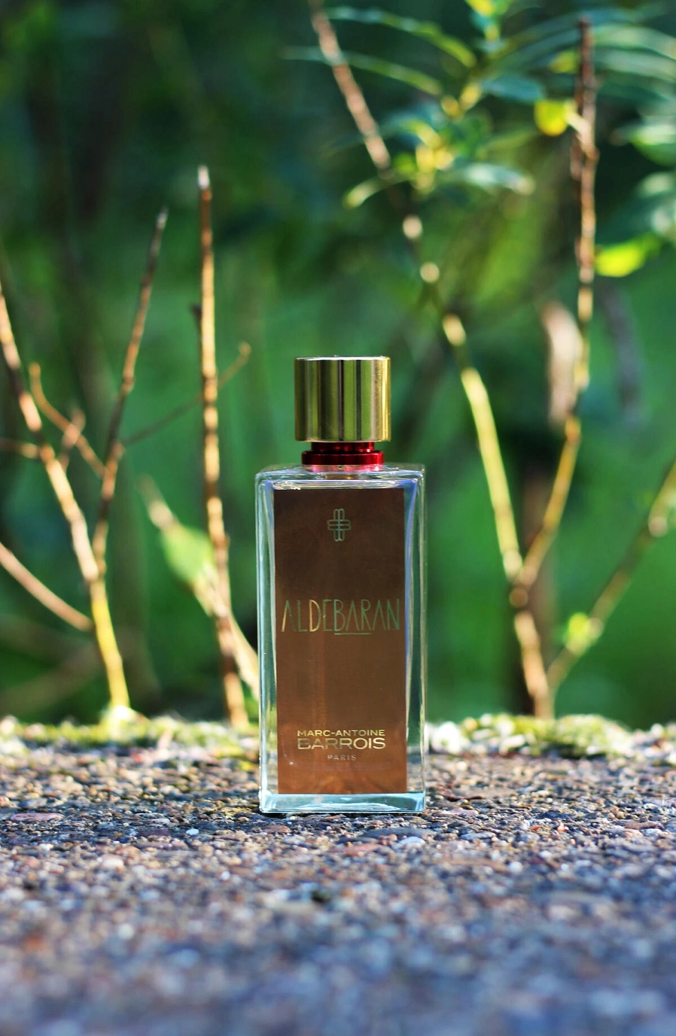 Marc-Antoine Barrois Aldebaran