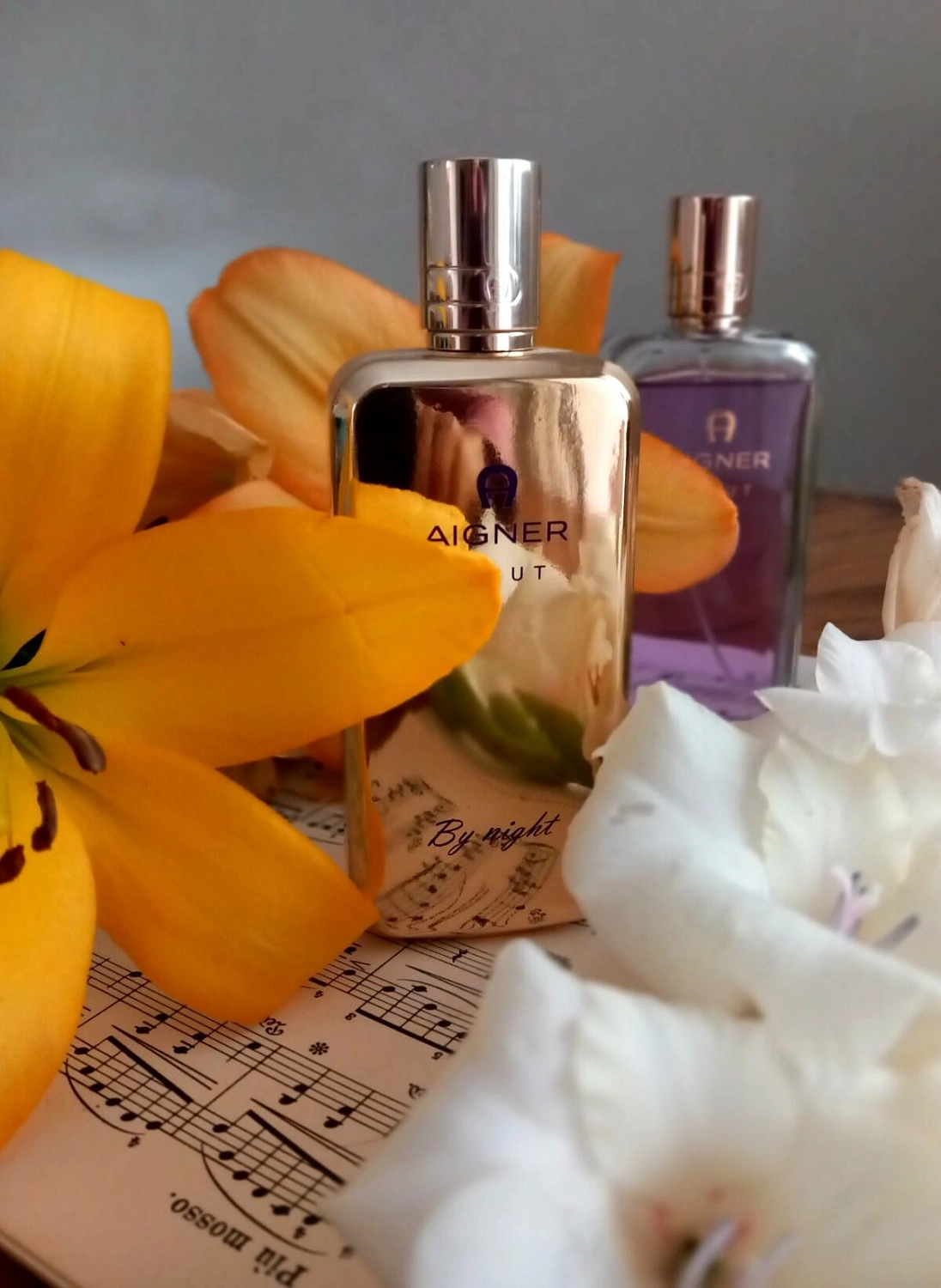 Aigner Debut Aigner Debut