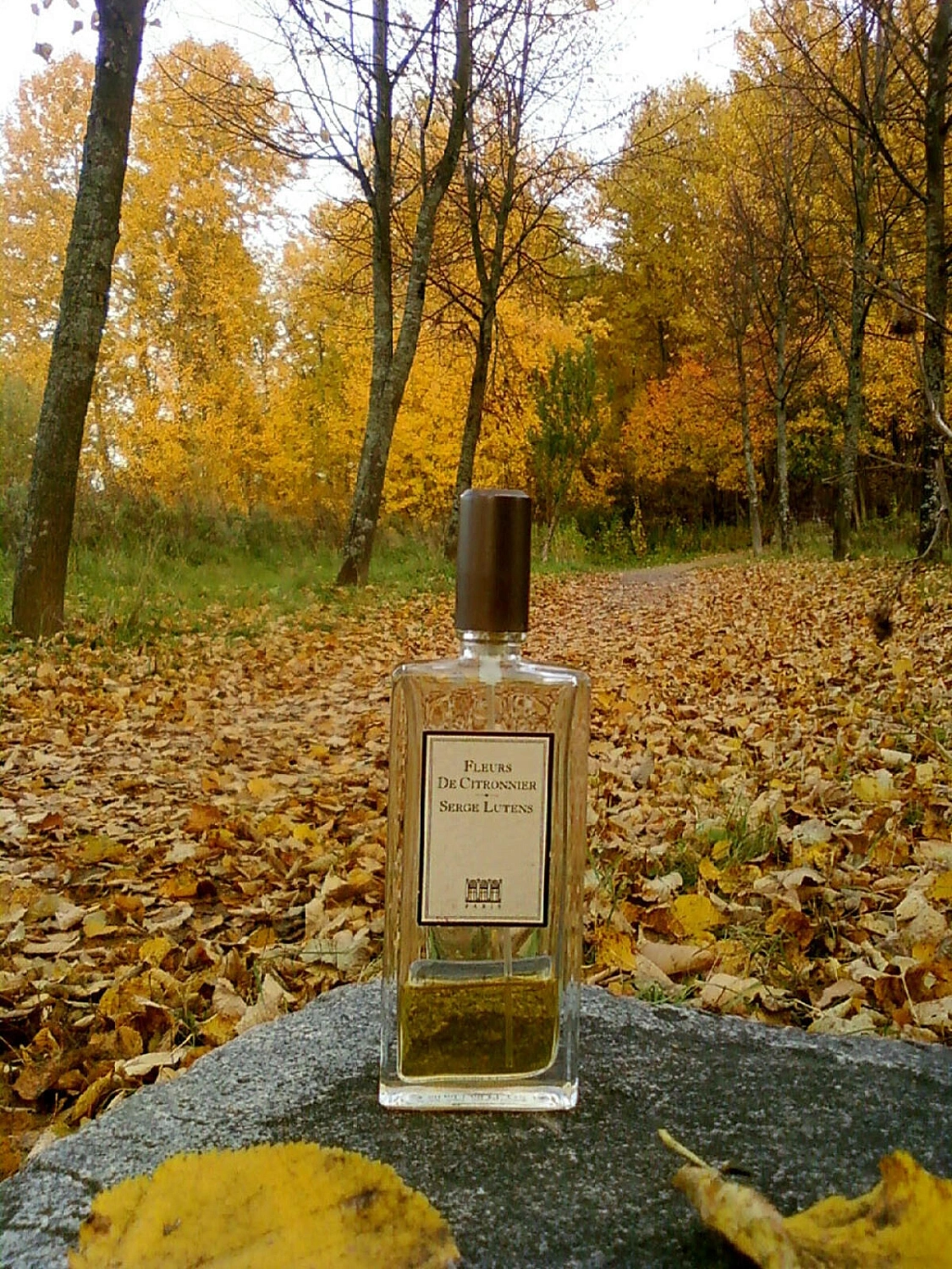 Serge Lutens Fleurs de Citronnier