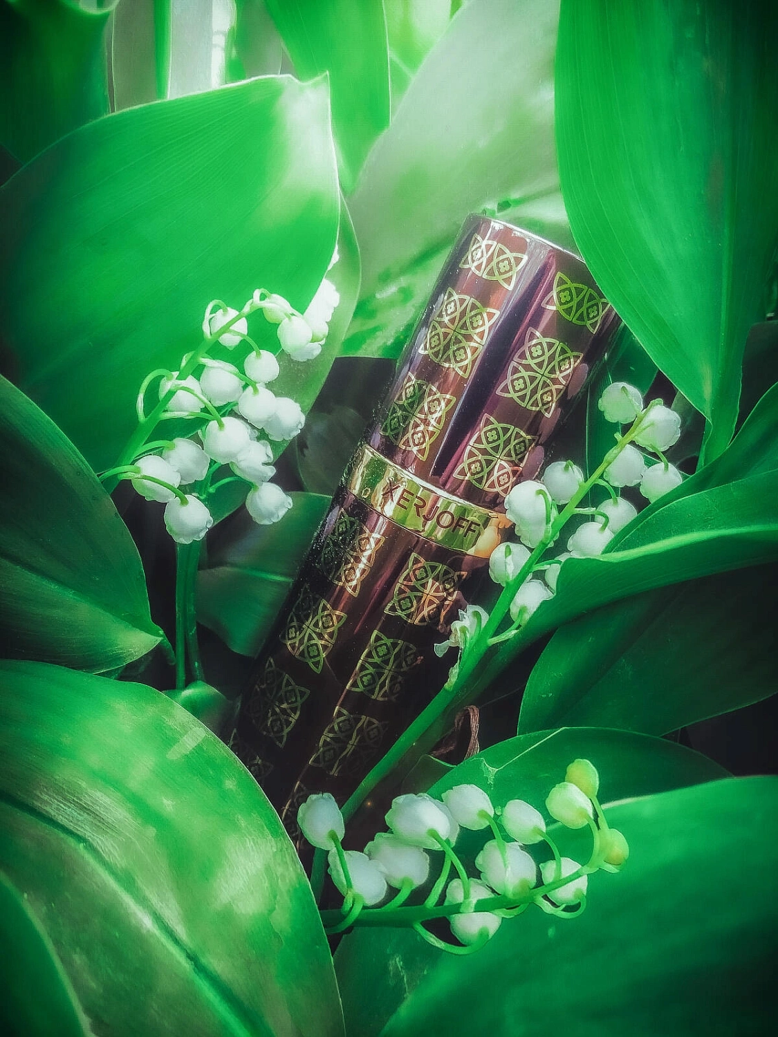 Xerjoff Alexandria II