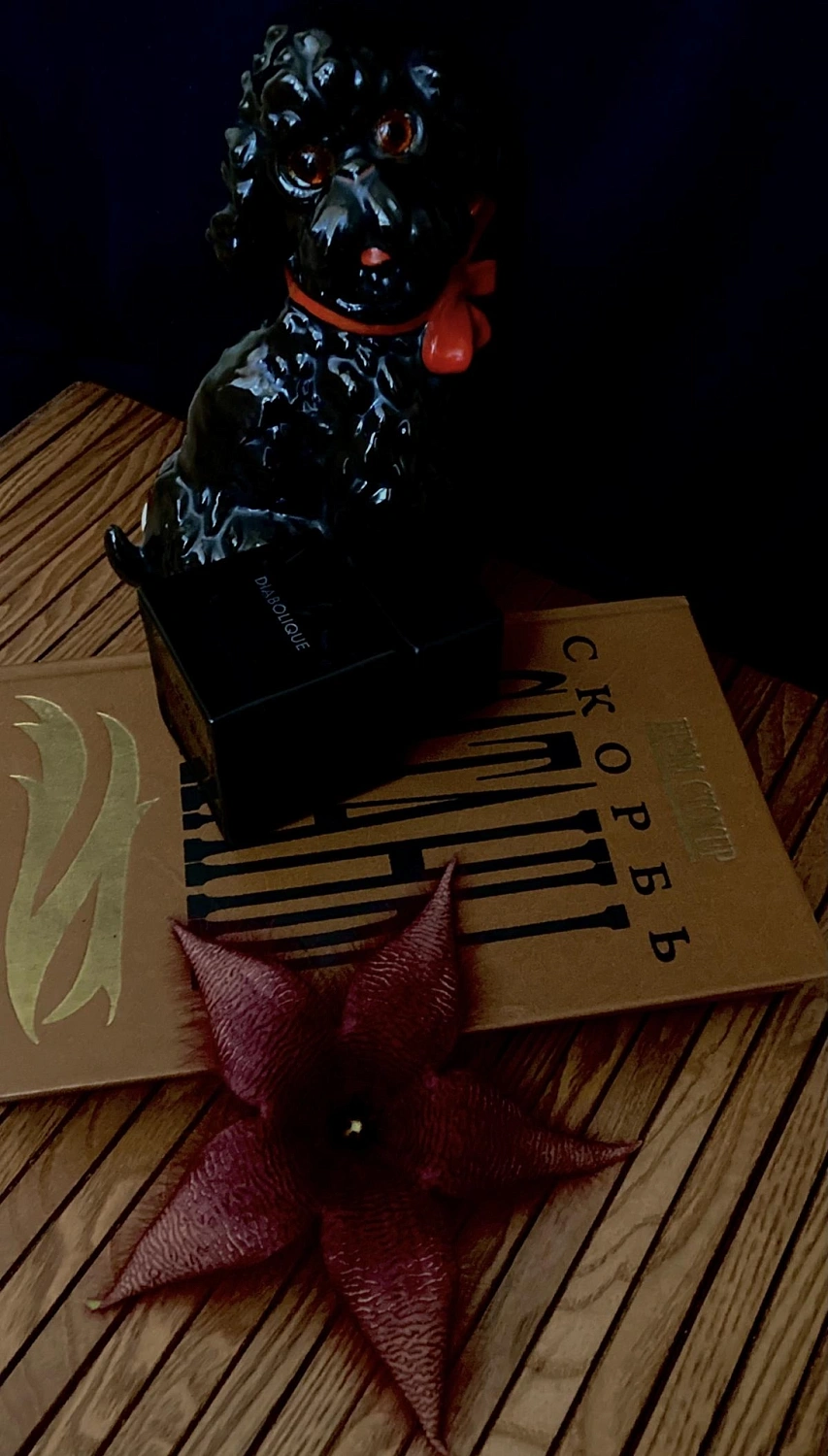 Eisenberg Diabolique Homme