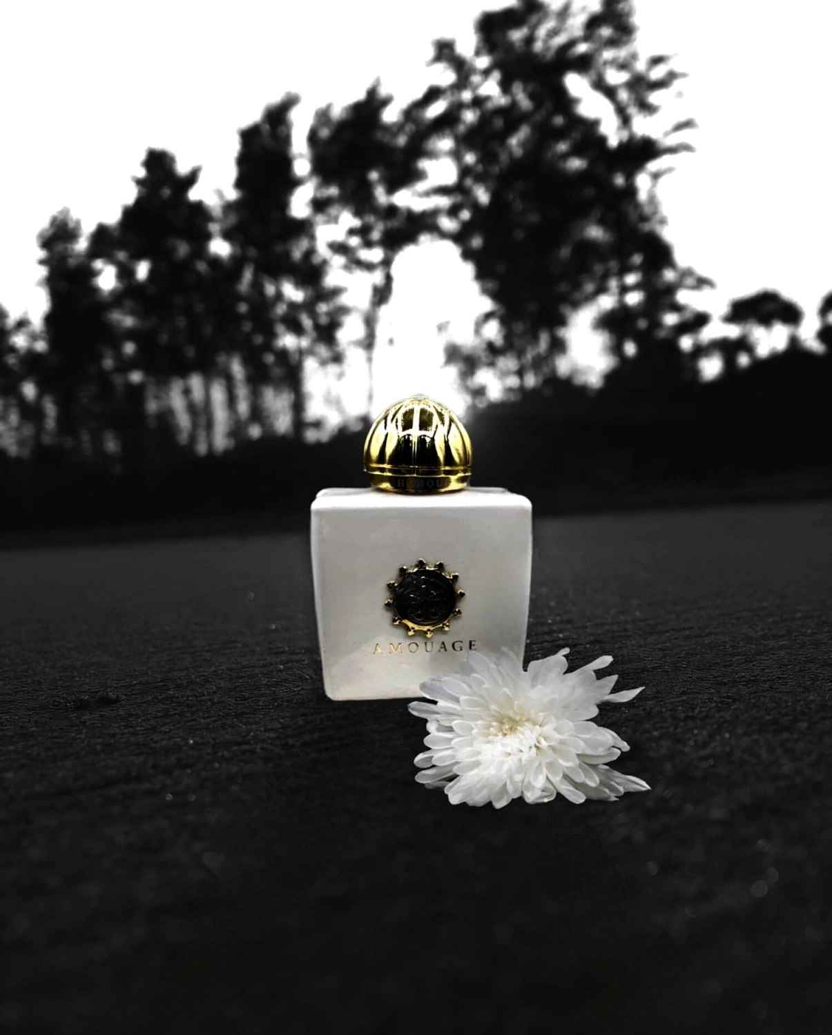 Amouage Honour Woman
