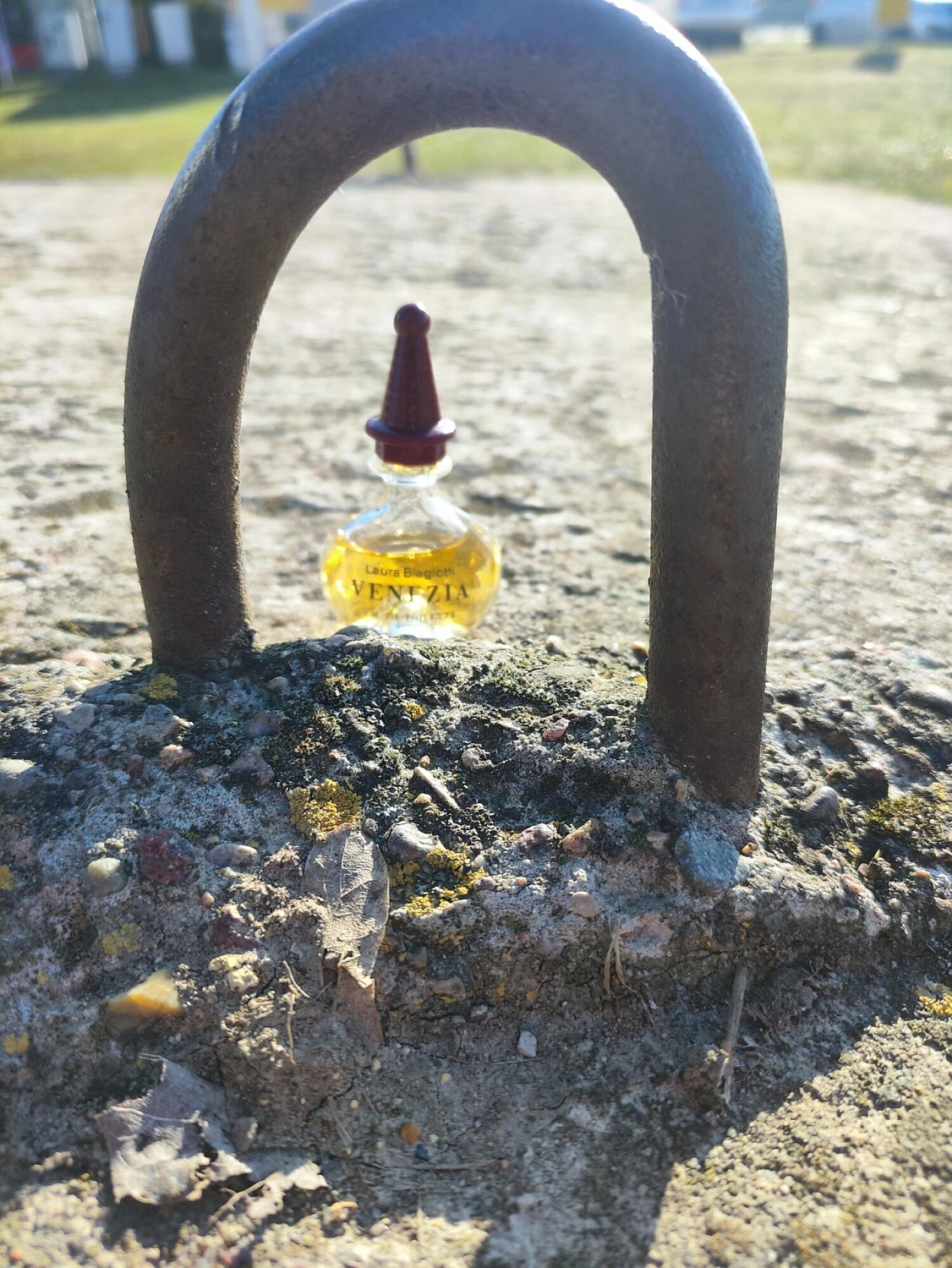 Laura Biagiotti Venezia Eau de Toilette