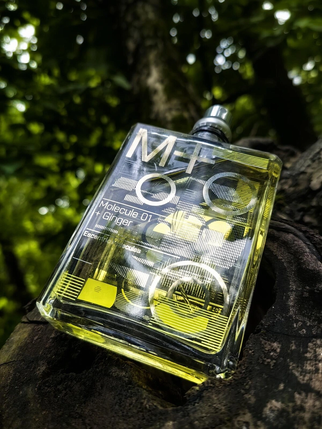 Escentric Molecules Molecule 01 + Ginger
