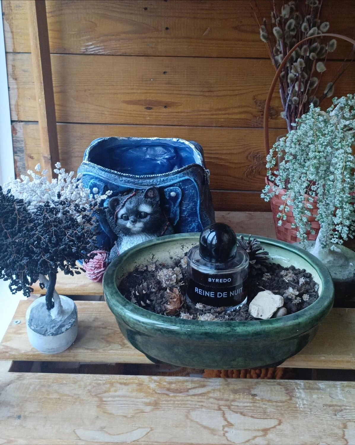 BYREDO Reine de Nuit (2019)