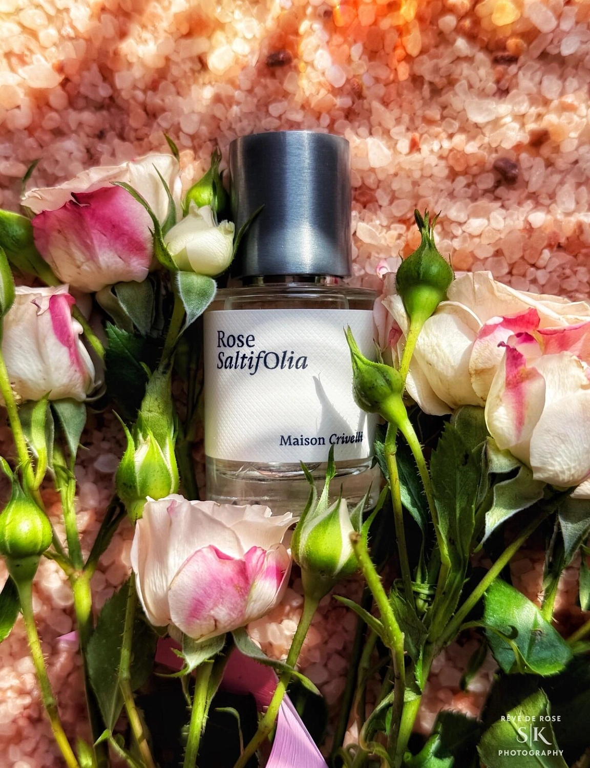 Maison Crivelli Rose SaltifOlia