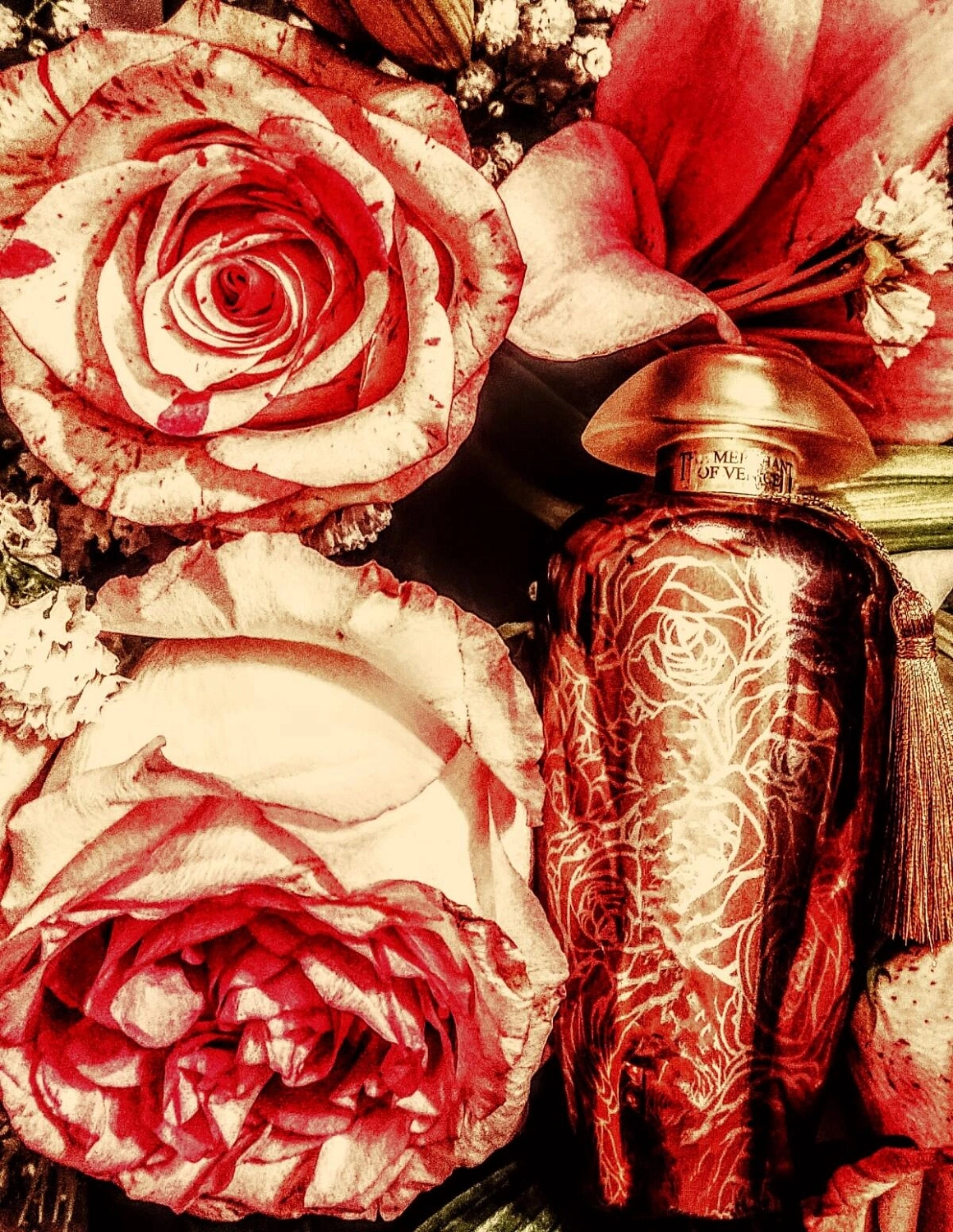 The Merchant of Venice Rosa Moceniga