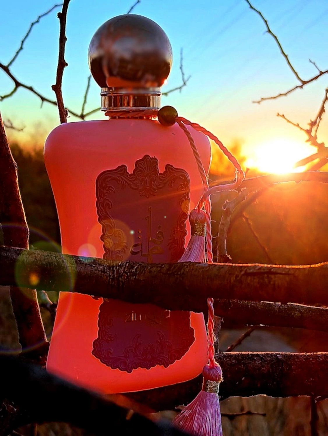 Zimaya Fatima (Pink)