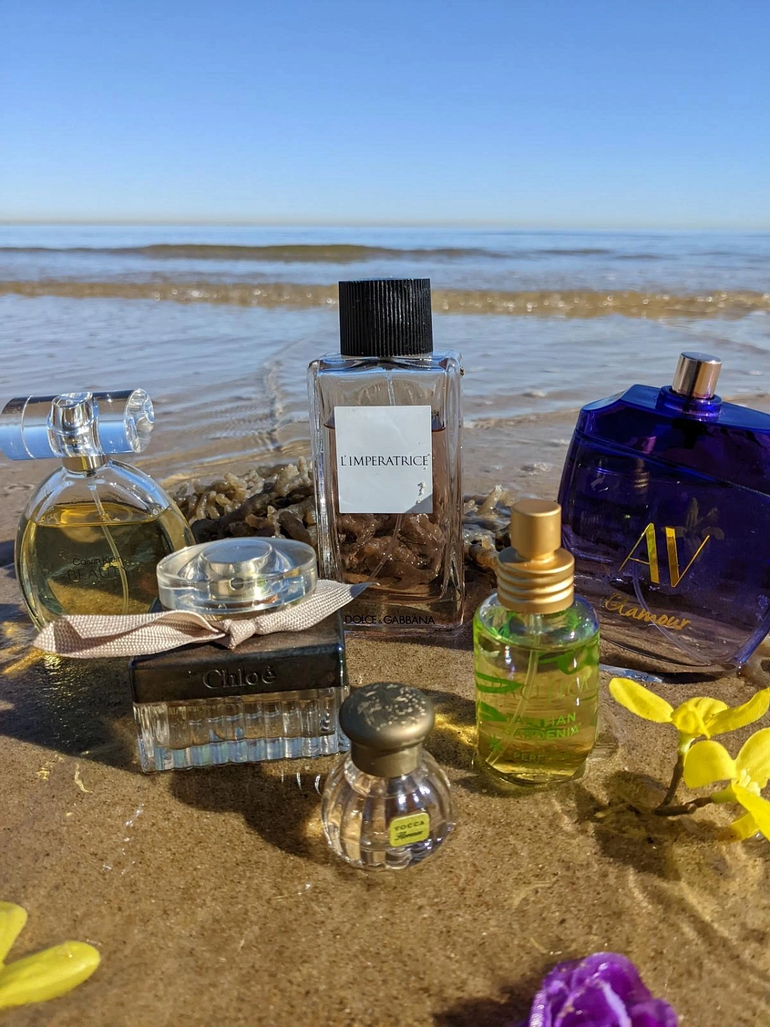 Adrienne Vittadini AV Glamour