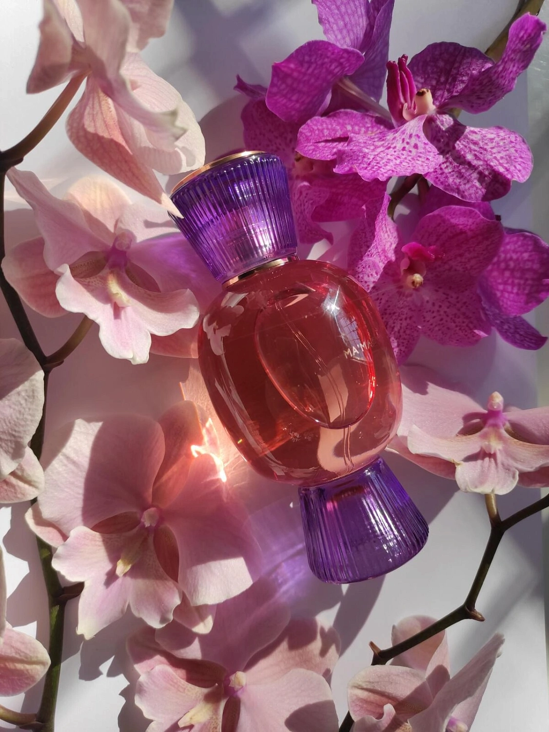 BVLGARI Ma'magnifica