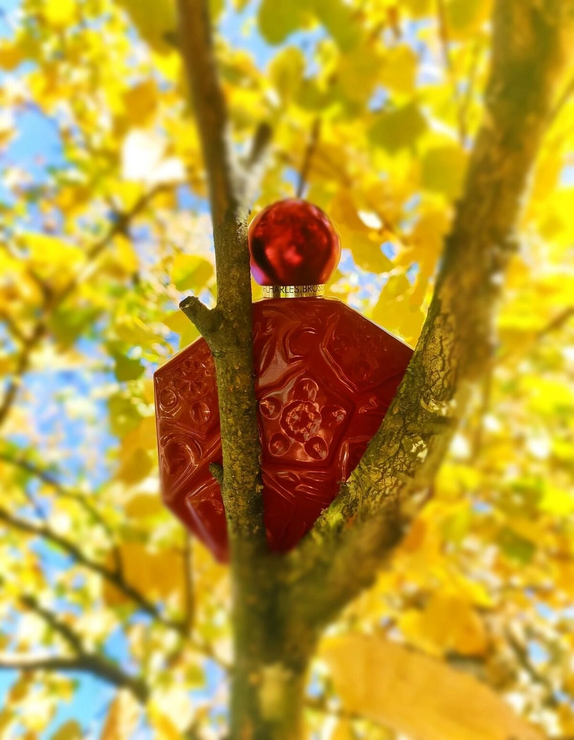 Jean Charles Brosseau Ombre Rubis