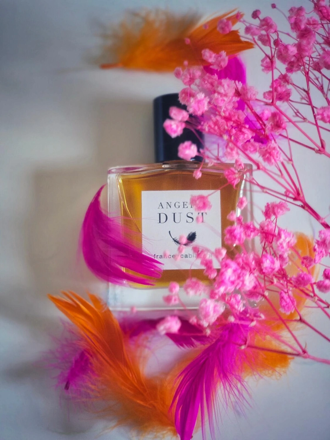 Francesca Bianchi Angel's Dust Francesca Bianchi Angel's Dust