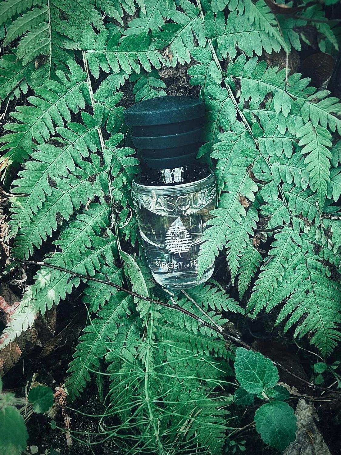 Masque Sleight of Fern