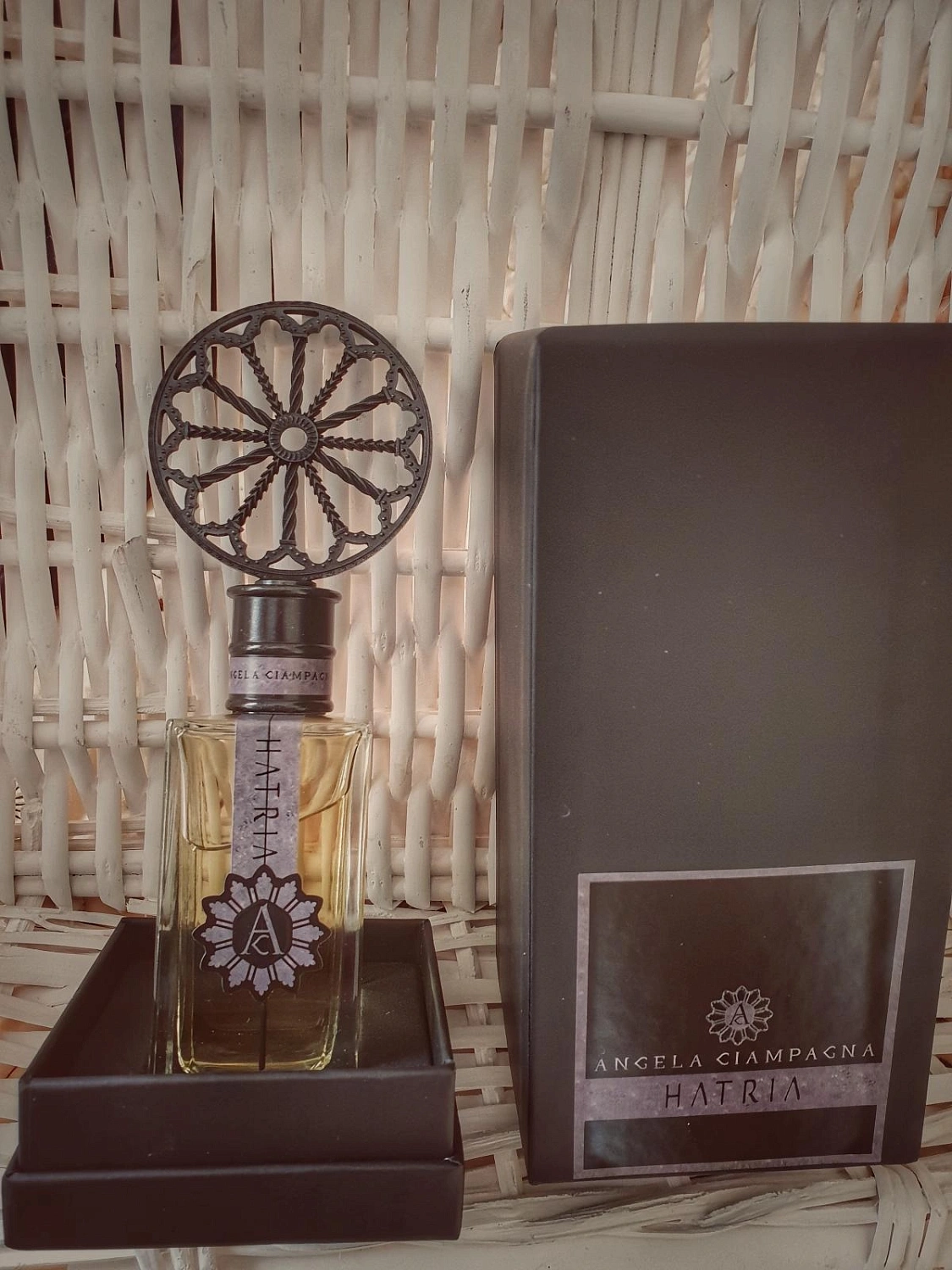 Angela Ciampagna Hatria