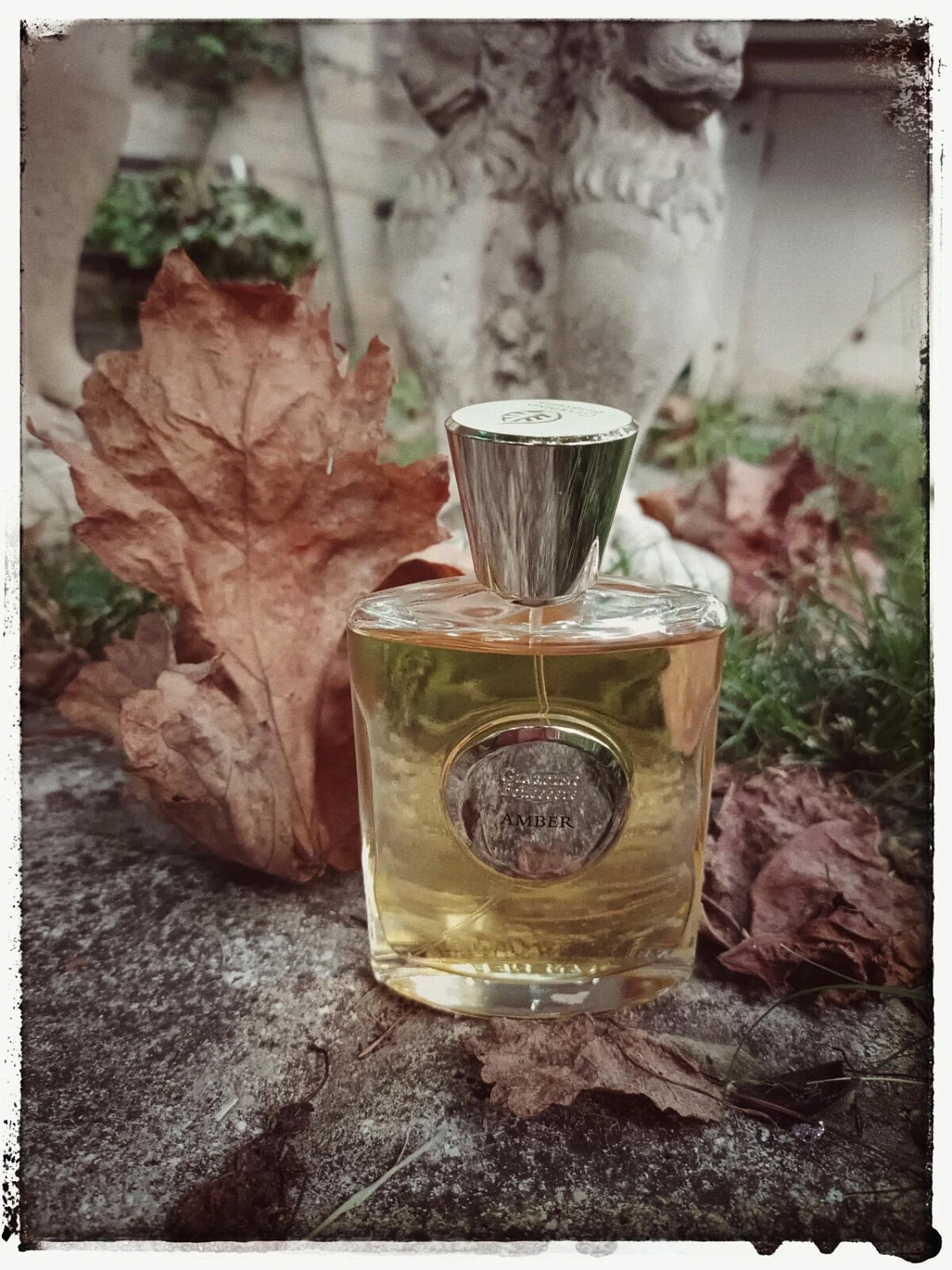 Giardino Benessere Amber