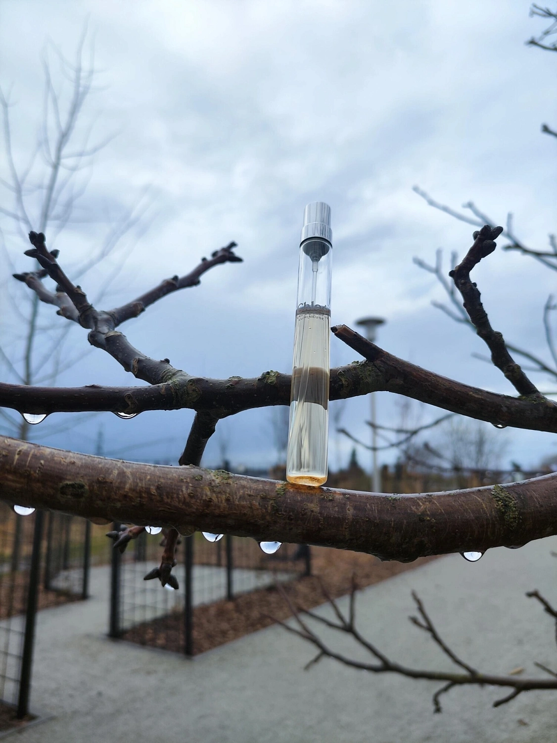 Chloé L'Eau De Parfum Lumineuse