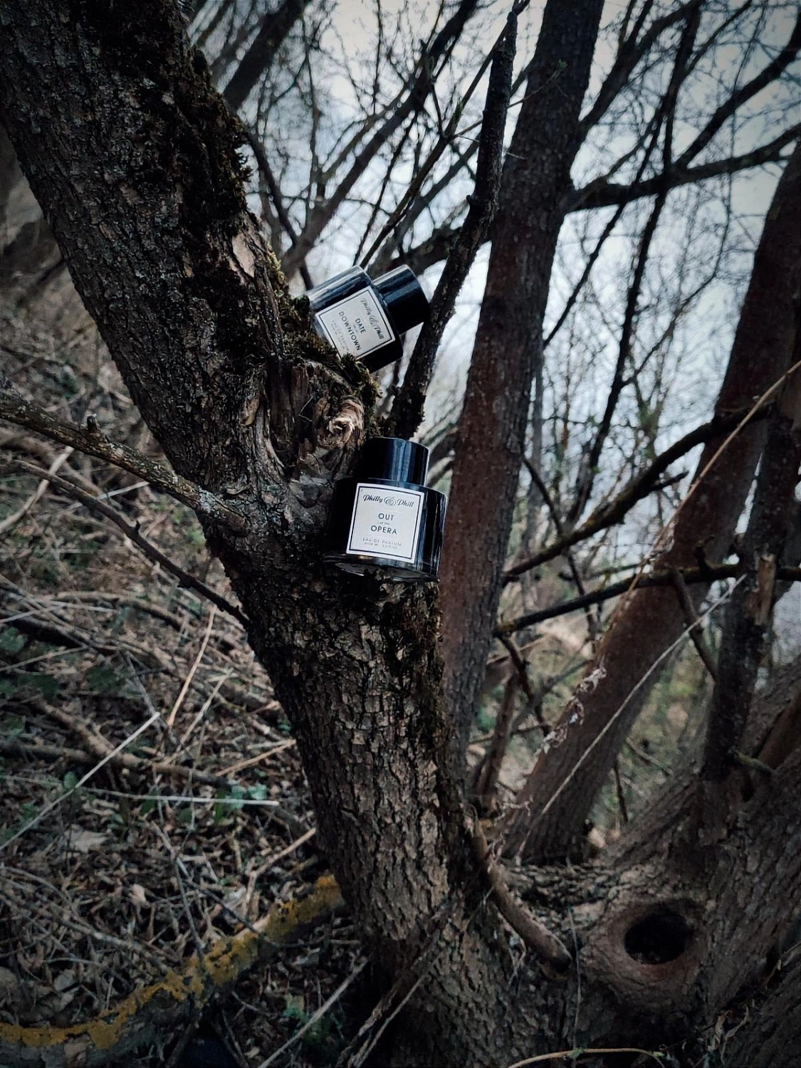 Philly&Phill Out at the Opera (Glamurous Oud)