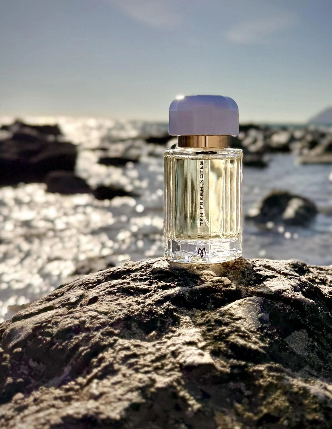 Ramon Monegal Ten Fresh Notes