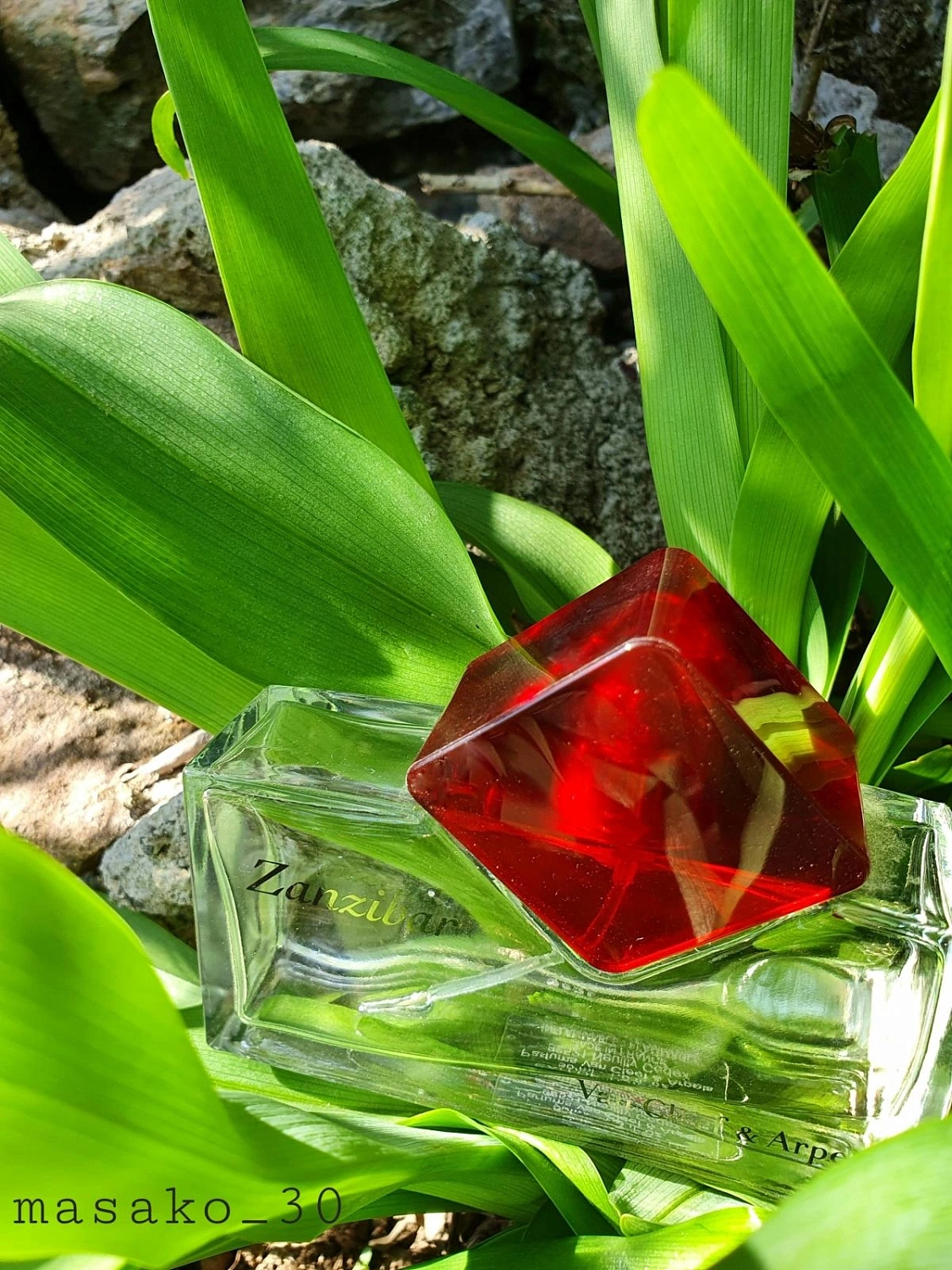 Van Cleef & Arpels Zanzibar