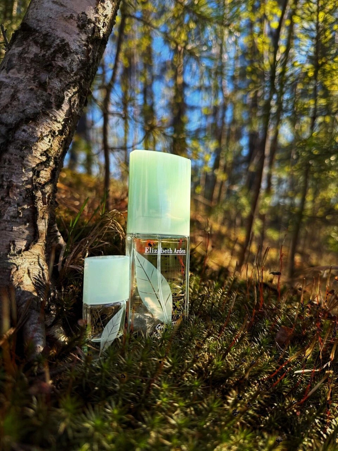 Elizabeth Arden Green Tea