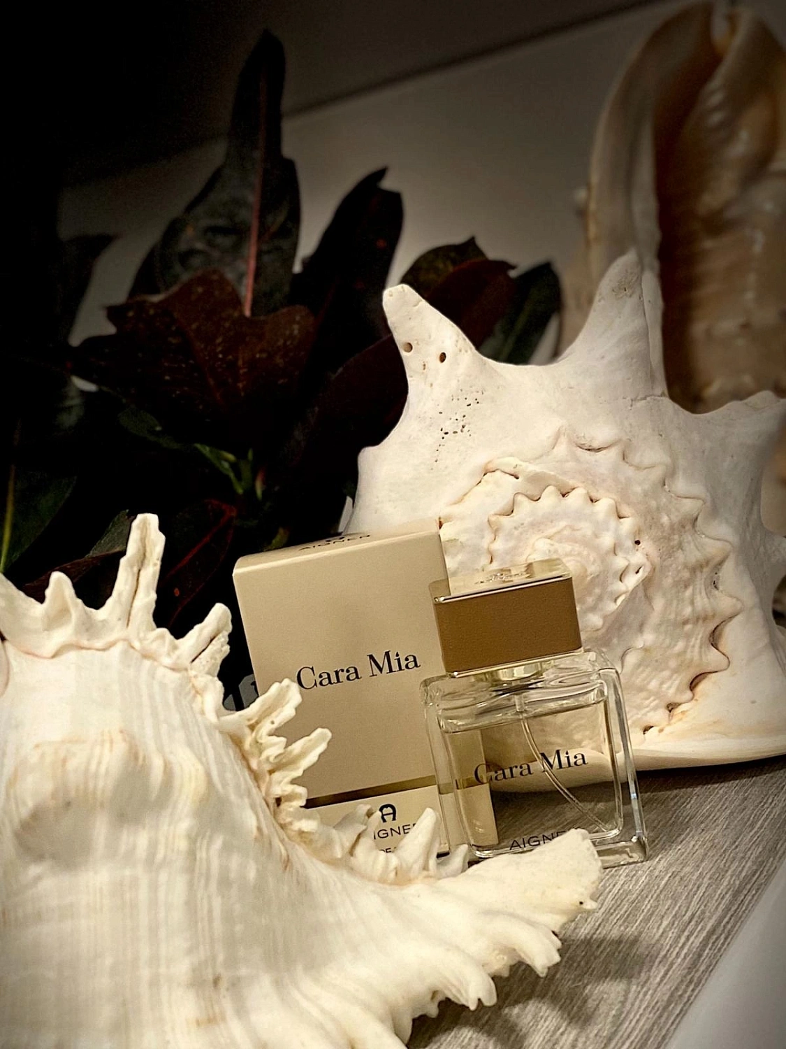 Aigner Cara Mia Aigner Cara Mia